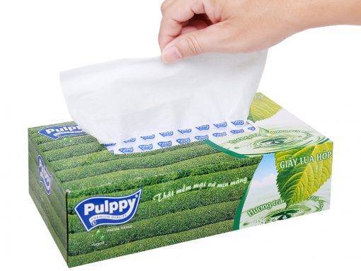 Khăn hộp Pulppy