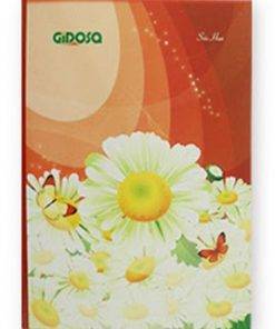 Tập 200 trang khổ lớn GIDOSA giá tốt