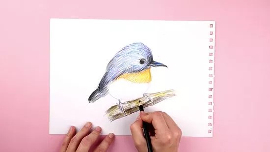 Cách sử dụng bút chì màu nước