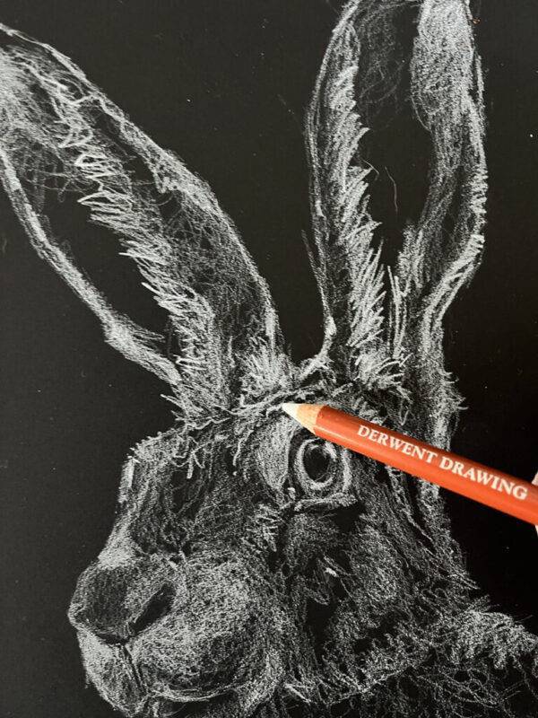 Bút chì trắng dùng để làm gì?