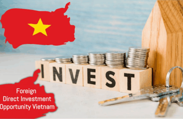 Foreign Investment in Vietnam by country in recent years