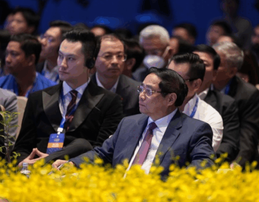 Vietnam has played an important role in Asia's Economy in recent years.
