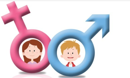 Cách tính tháng thụ thai sinh con trai năm 2026