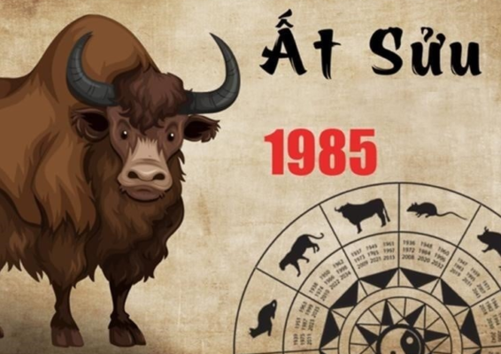 Vận hạn tuổi Ất Sửu 1985 trong năm 2026 là gì? Vận hạn tuổi Ất Sửu 1985 trong năm 2026 là gì?