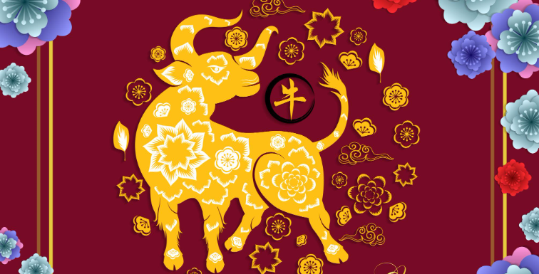 Tử vi phong thuỷ tuổi Đinh Sửu năm 2026 nữ mạng