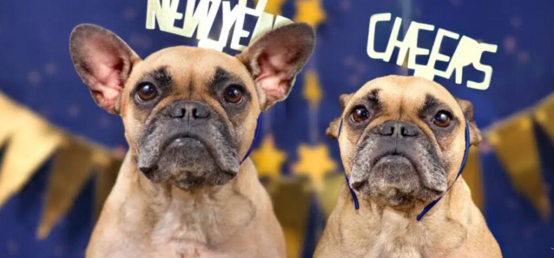 Tử vi phong thuỷ tuổi Giáp Tuất nữ mạng 2026