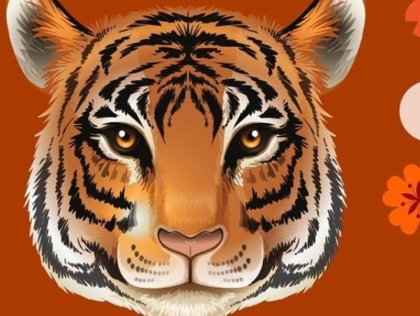 Tử vi tuổi Dần năm 2026 nữ mạng