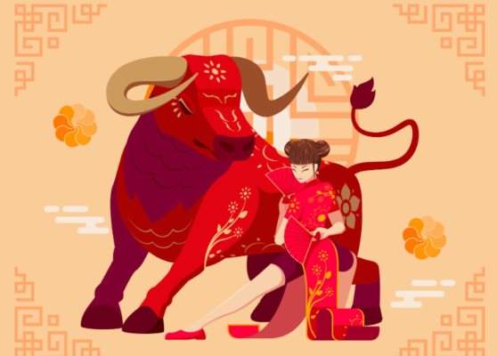 Xem tử vi tuổi Đinh Sửu nữ mạng năm 2026 chuẩn phong thuỷ