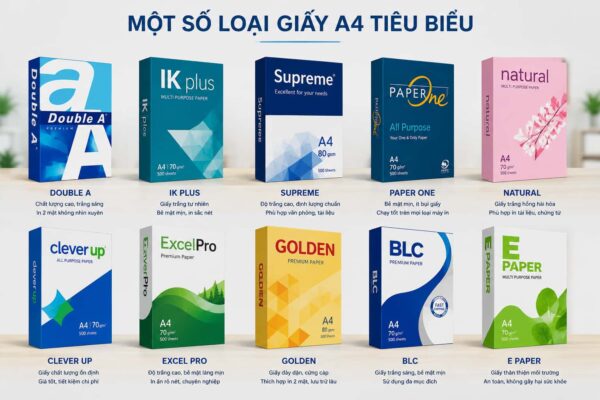 Một số loại giấy A4 được ưa chuộng tại Việt Nam Một số loại giấy A4 được ưa chuộng tại Việt Nam