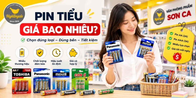 Pin tiểu giá bao nhiêu, báo giá ưu đãi tại Sơn Ca Pin tiểu giá bao nhiêu, báo giá ưu đãi tại Sơn Ca